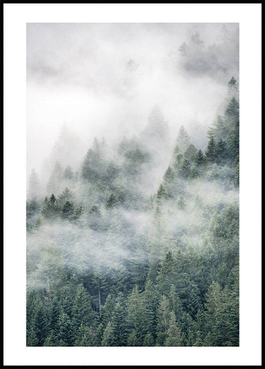 Tree Top Fog Plakat - Posterbox.no