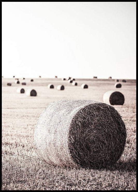 Rustic Hay Bale Plakat - Posterbox.no