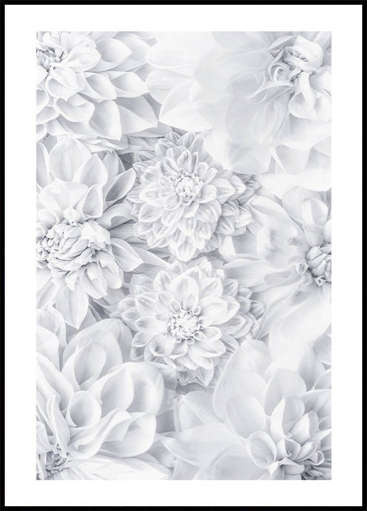 White Calm Flowers Plakat - Posterbox.no