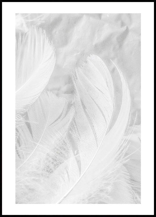 Soft Feather Plakat - Posterbox.no