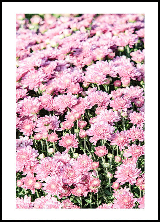 Pink Mums Plakat - Posterbox.no