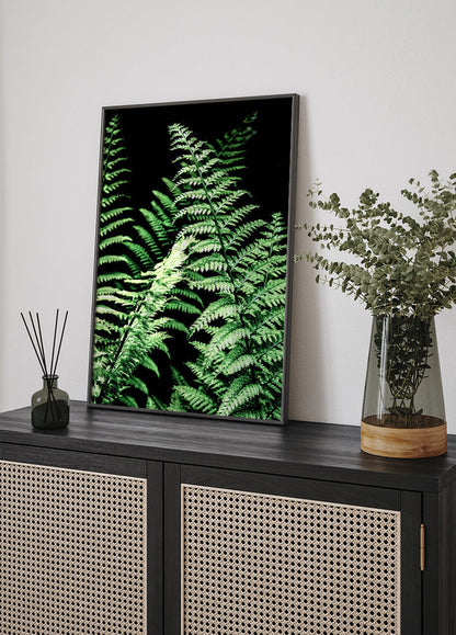 Forest Ferns Plakat - Posterbox.no