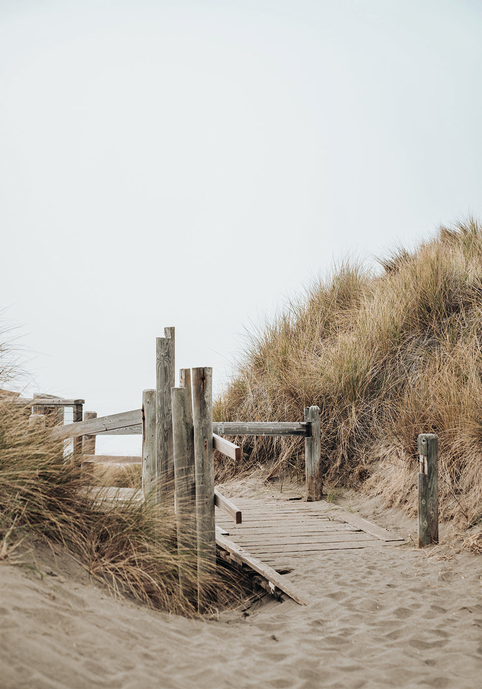 Beach Entrance Poster