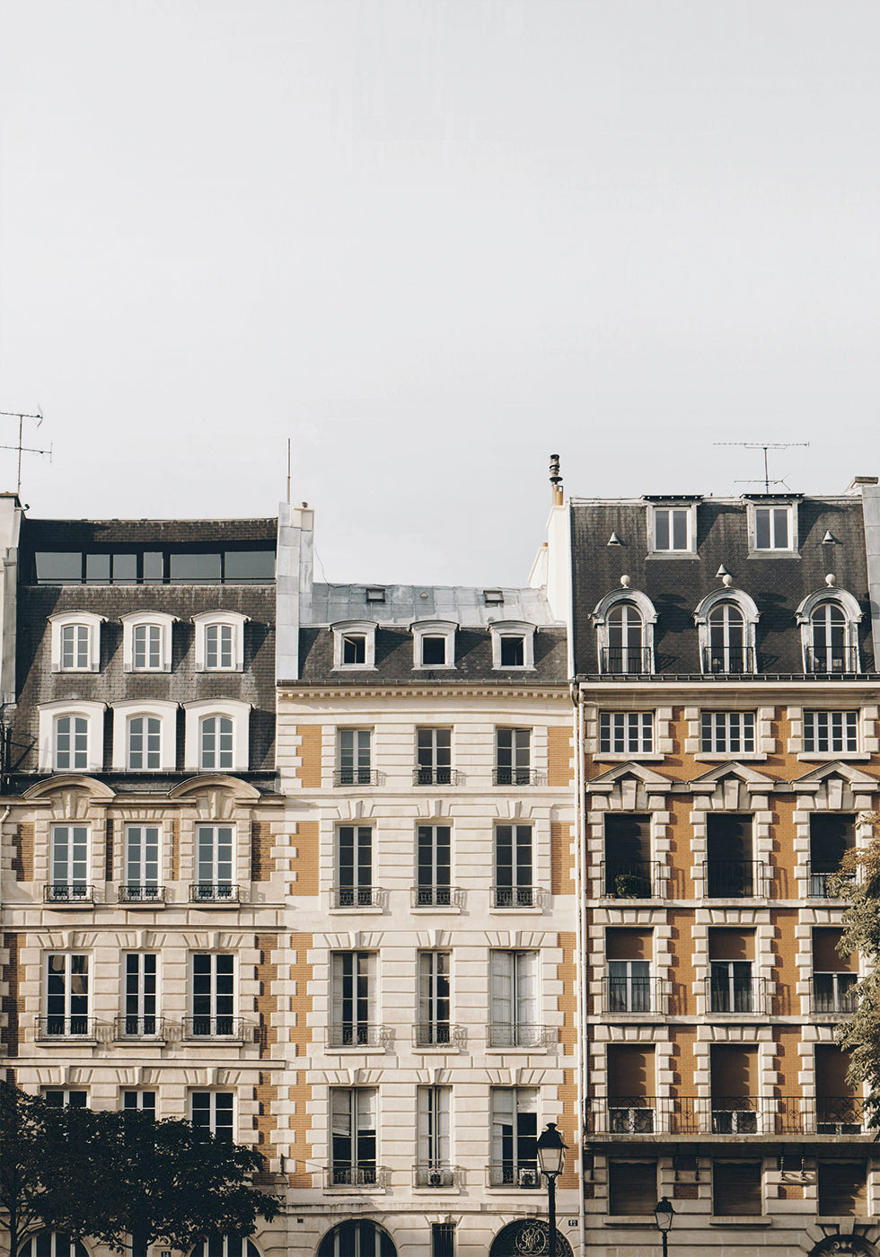 Charming Parisian Architecture Poster