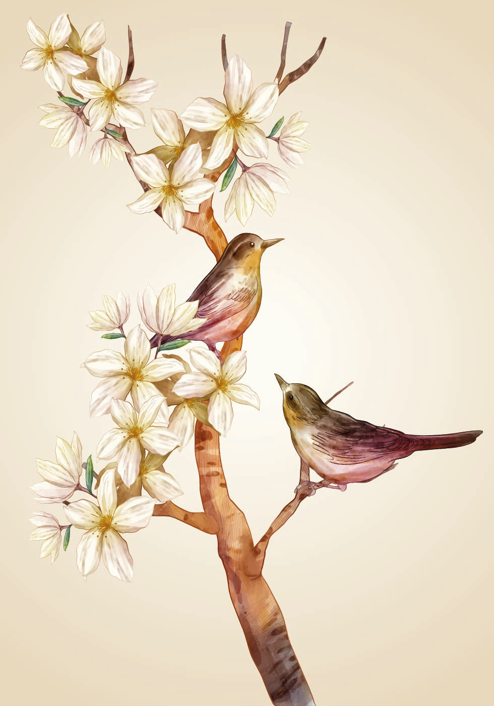 Blossoming Branch with Birds Poster