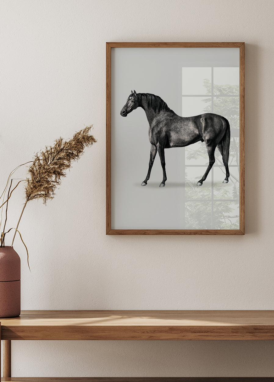 Black Horse Drawing Poster