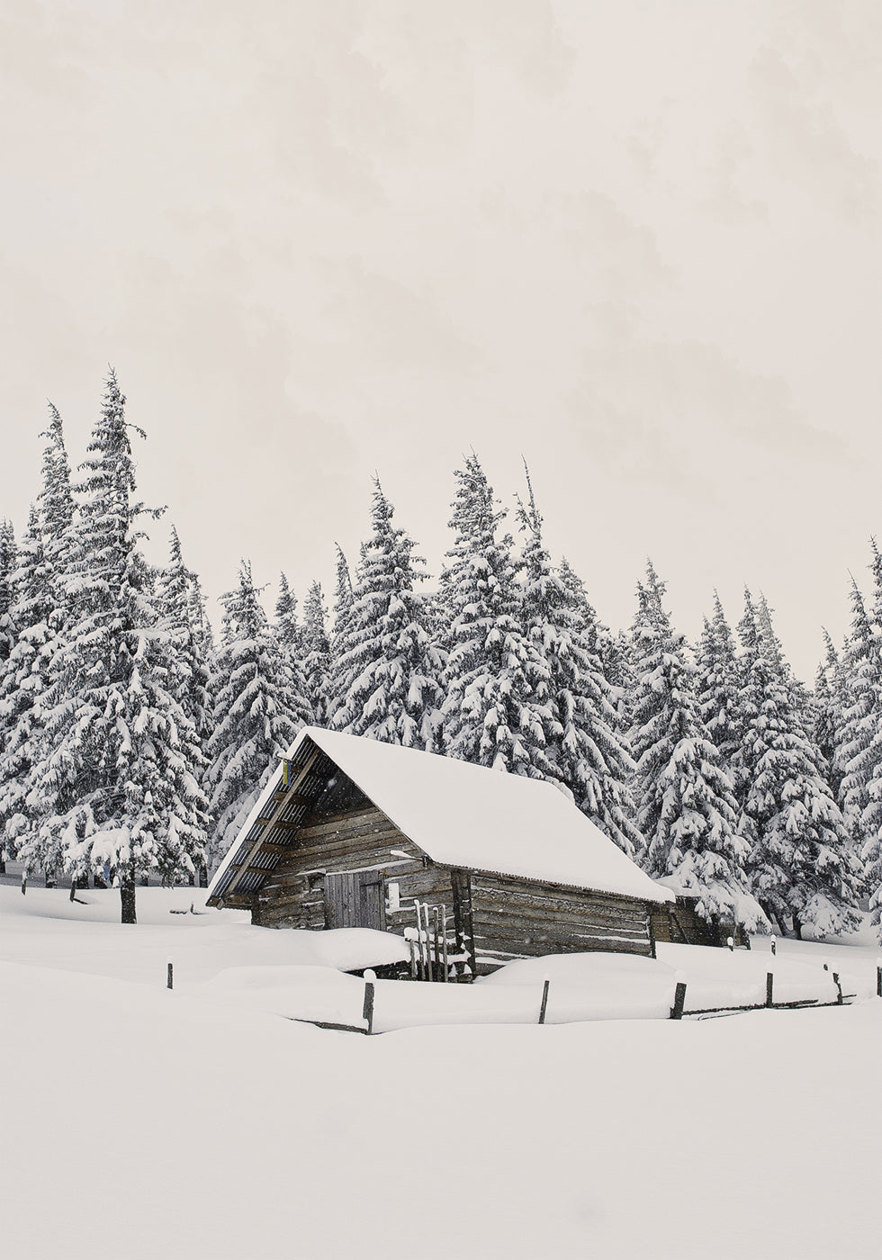 Cabin In Snow Poster