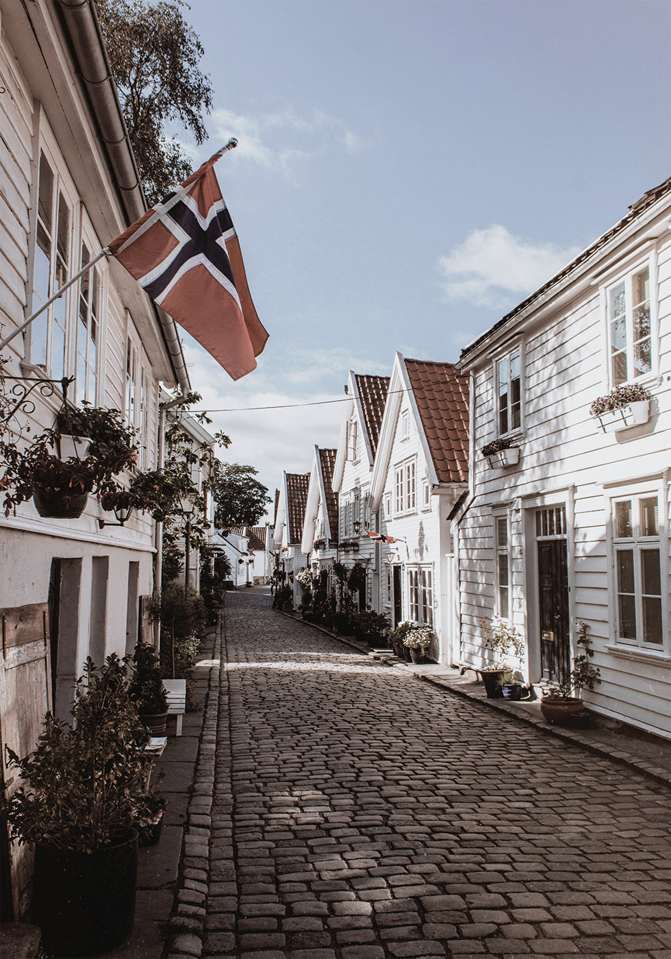 Charming Street in Norway Poster