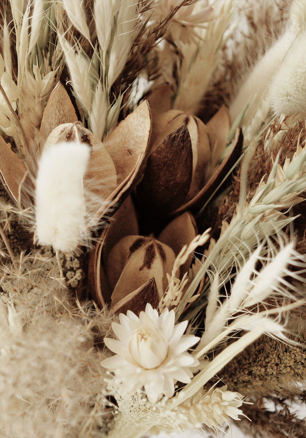 Delicate Dried Flowers Bouquet Poster