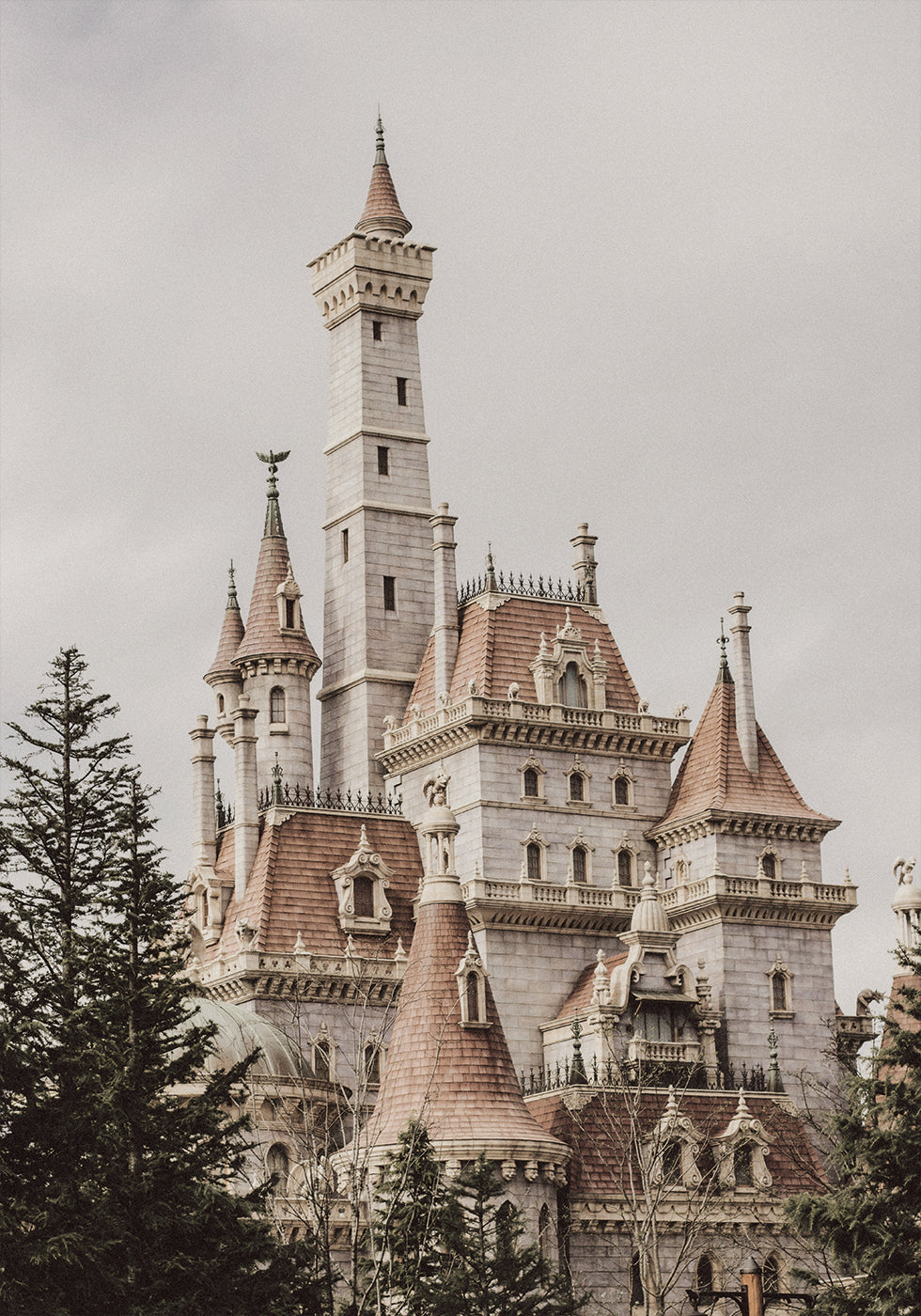 Fairytale Castle Poster