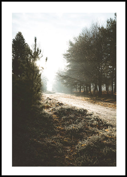 New Forest Poster