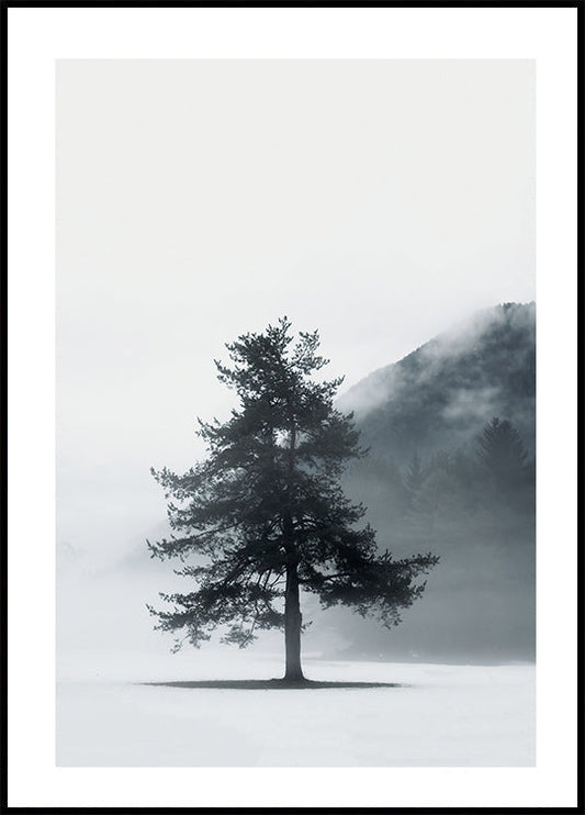 Lone Pine Tree in Foggy Field Poster