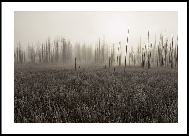 Tangled Creek Poster