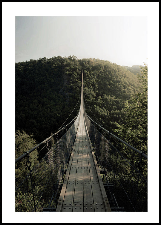 Hanging Bridge Poster