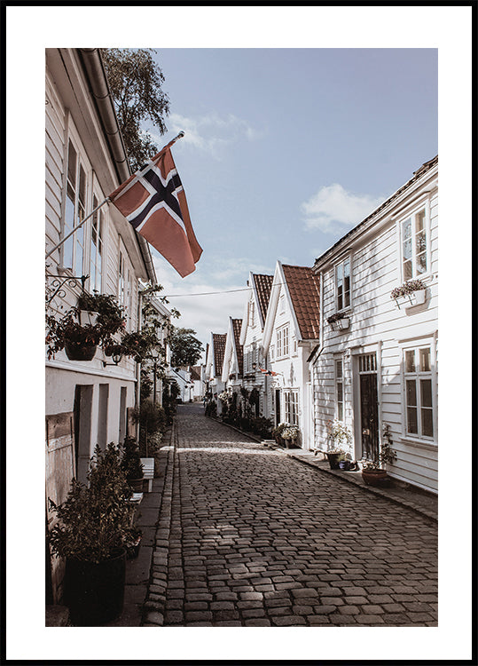 Charming Street in Norway Poster