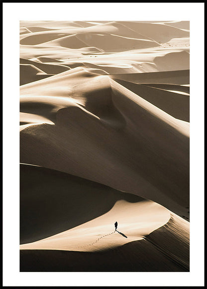 Walking In Desert Poster