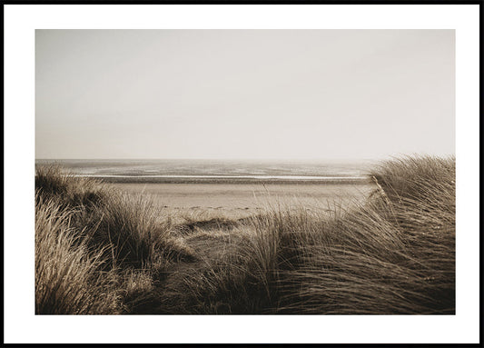 View Of The Beach From Behind The Grass Poster