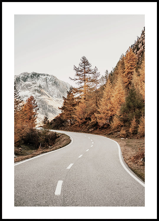 Autumn Road in the Mountains Poster