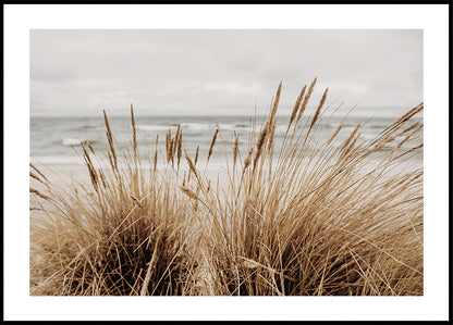 Grass by the Sea №2 Poster