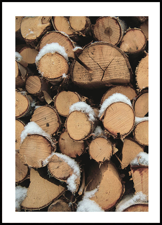 Wooden Logs Poster