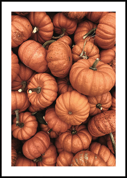 Pumpkin Season Poster