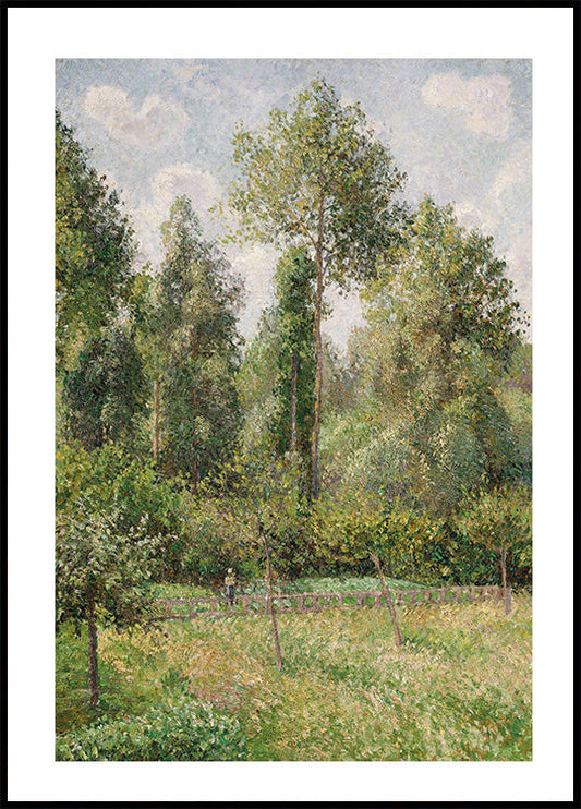 Poplars Éragny By Camille Pissarro Poster