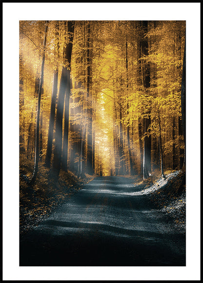 Autumn Forest Poster