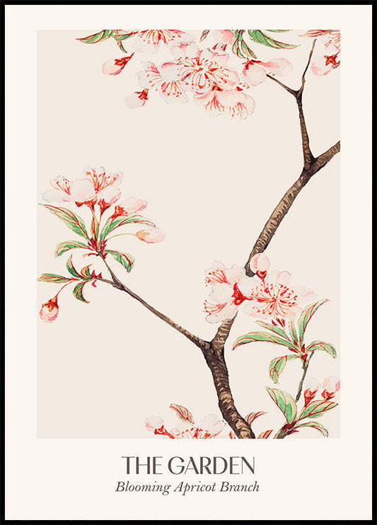 Blooming Apricot Branch Poster