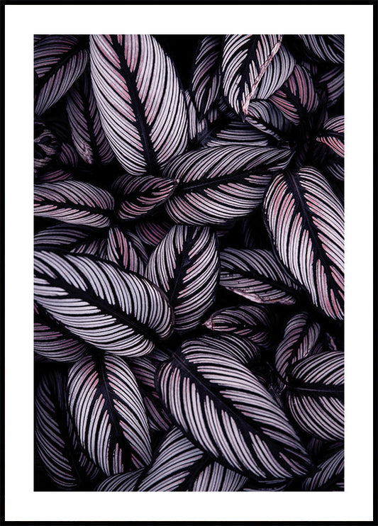 Purple Leaves Poster