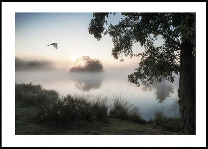 Heron Flying Over a Foggy Lake Poster