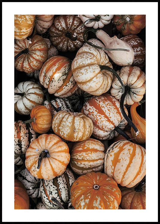 Pumpkin Season Poster