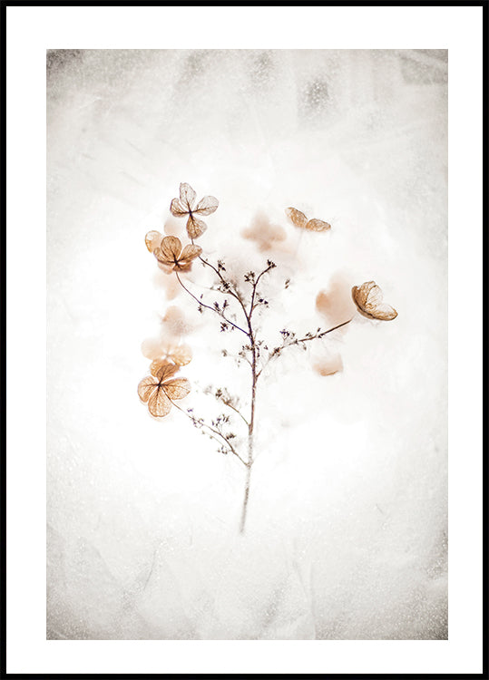 Frozen Dried Hydrangeas in Ice Poster