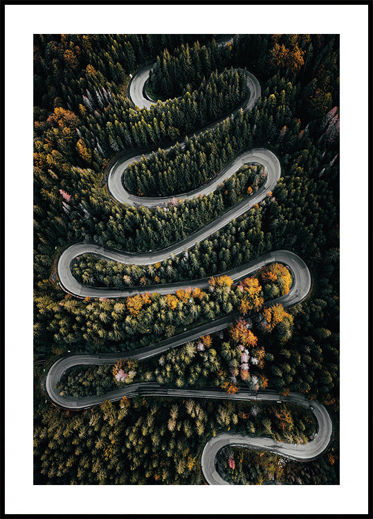 Winding Road in the Forest №2 Poster