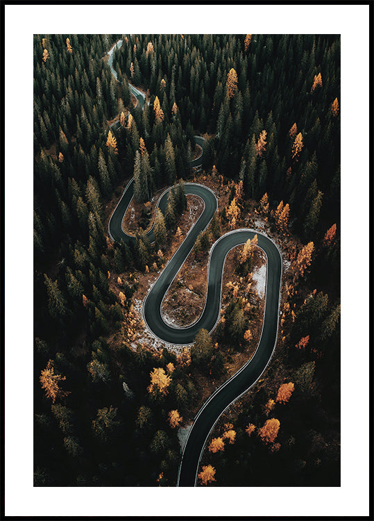 Winding Road in the Forest  Poster