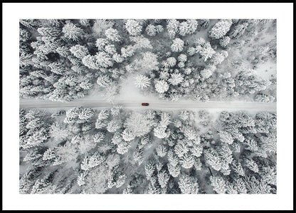 Red Car Driving Through Snowy Forest