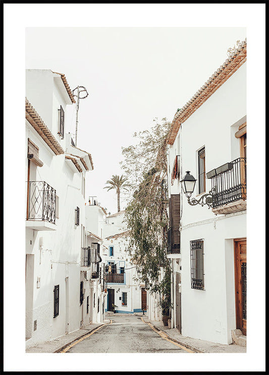 Charming Whitewashed Streetscape Poster