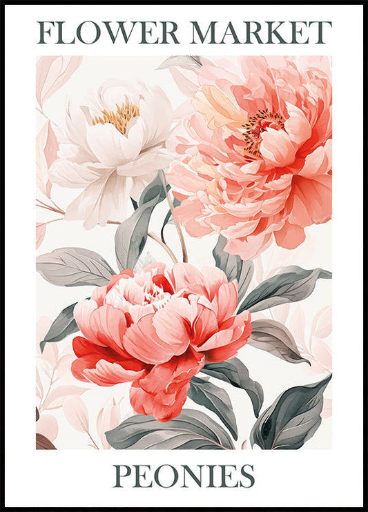 Peonies Pink Poster