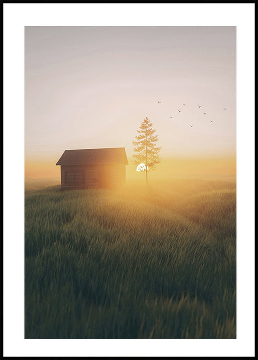 Sunset In The Field Poster