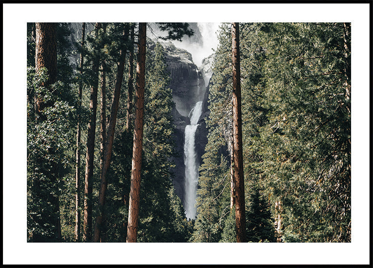 Waterfall in the Forest Poster