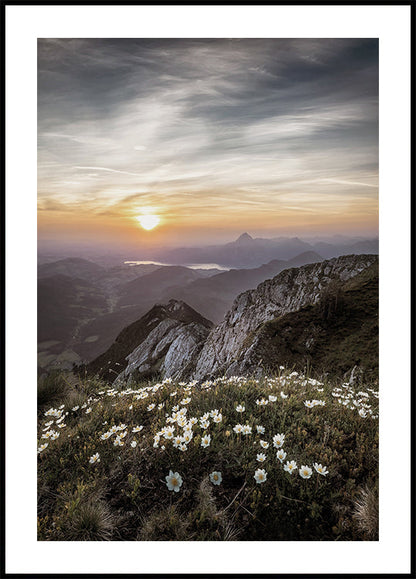 Sunrise Over Mountain Wildflowers Poster