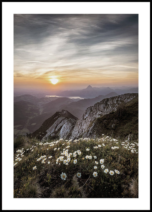 Sunrise Over Mountain Wildflowers Poster