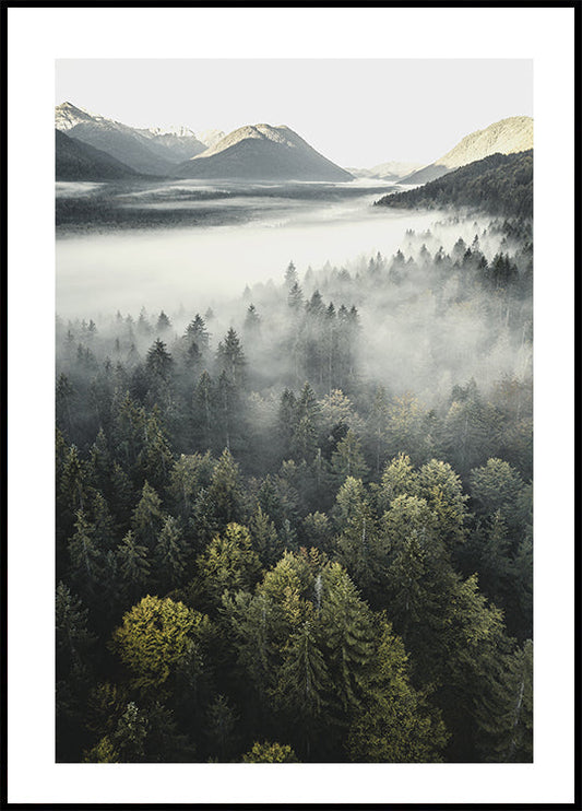 Misty Mountain Poster