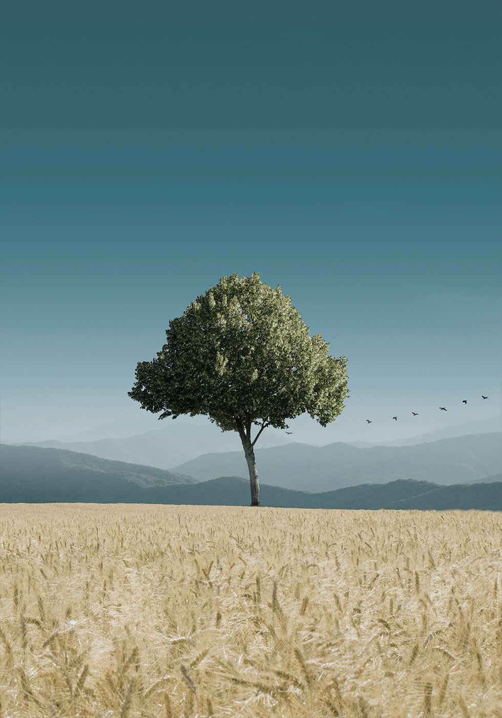 Green Tree In The Field Poster