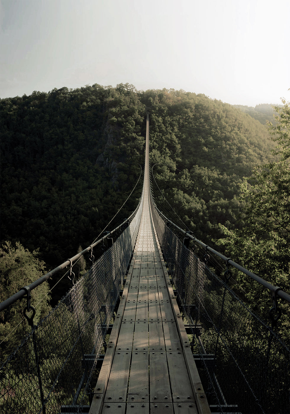 Hanging Bridge Poster