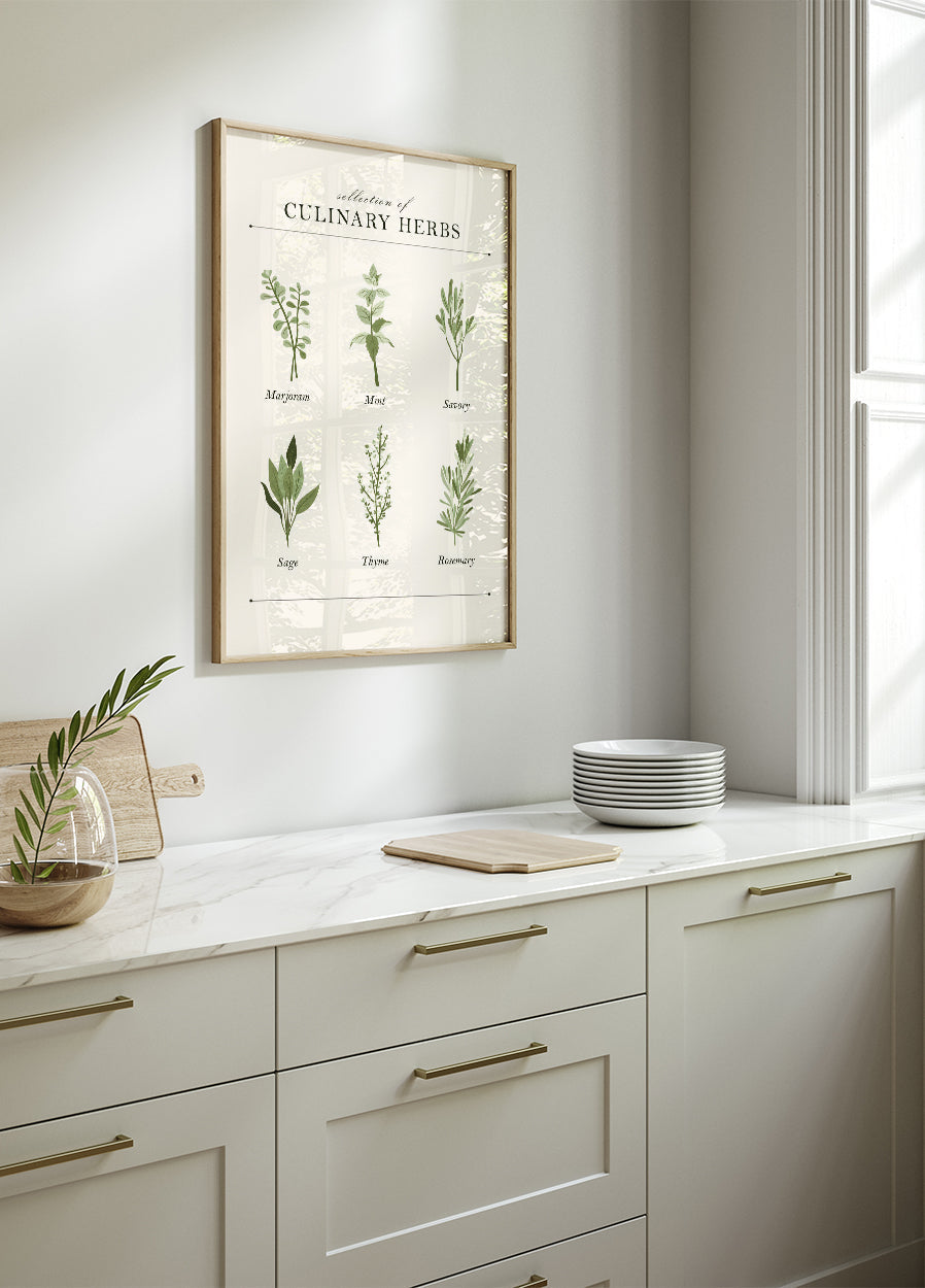 Herbs Poster