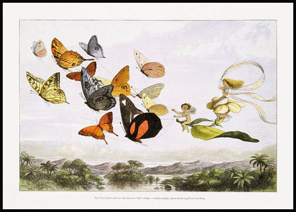 In Fairyland Butterflies By Richard Doyle Vintage Art Plakat - Posterbox.no