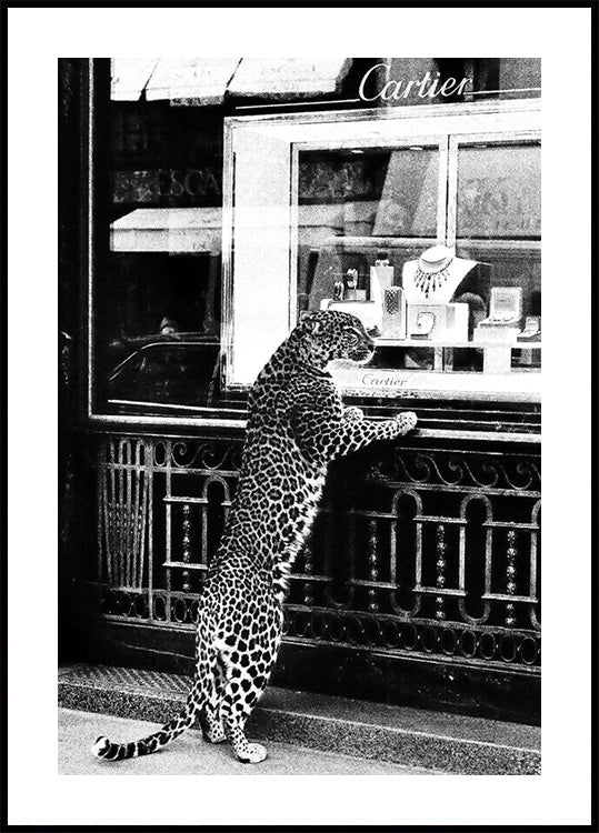 Panther in the Jewelry Shop Poster