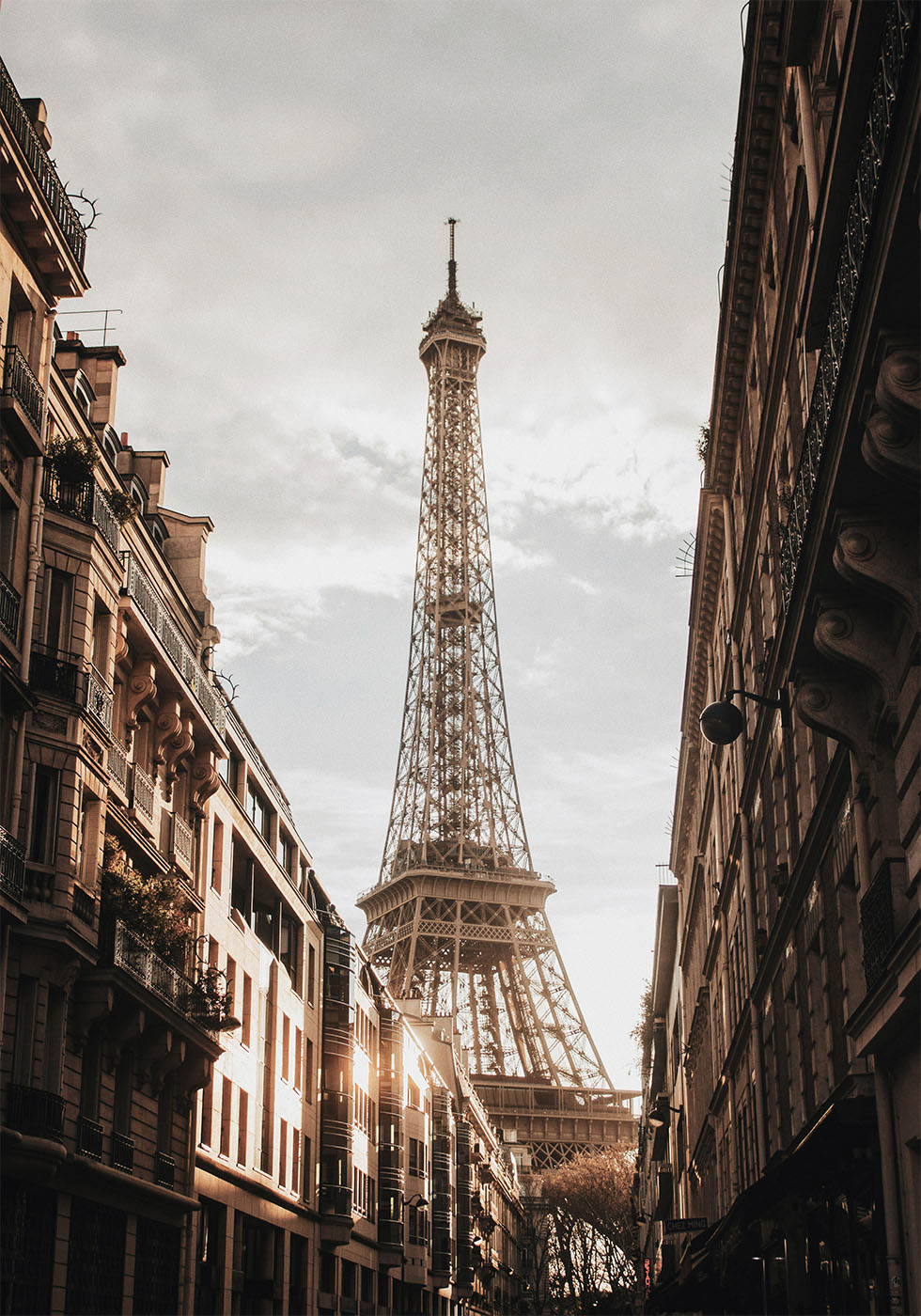 Eiffel Tower View Poster