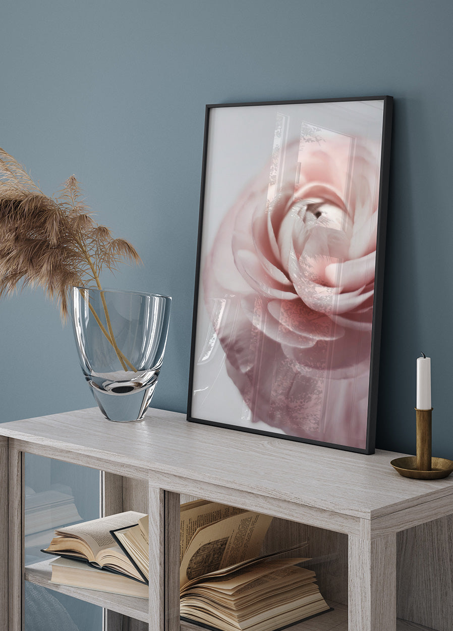 Pink Ranunculus Poster