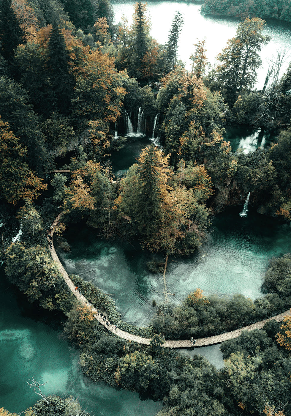 Road Across the Lake in the Forest Poster